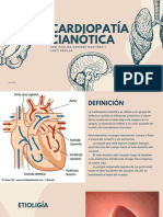 Anatomía Humana