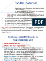 Responsabilidad Civil