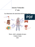 La Nutrición en Los Seres Humanos 6º Final