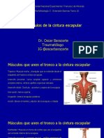 10 Musc. Cintura Escapular