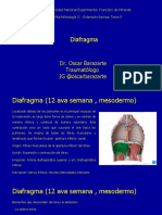 9 Diafragma