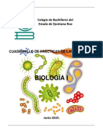 practicas_de_biologia_I_2019.pdf