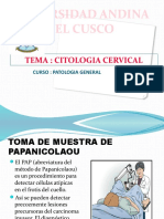 CITOLOGIA CERVICAL (1).pptx