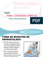 Citologia Cervical