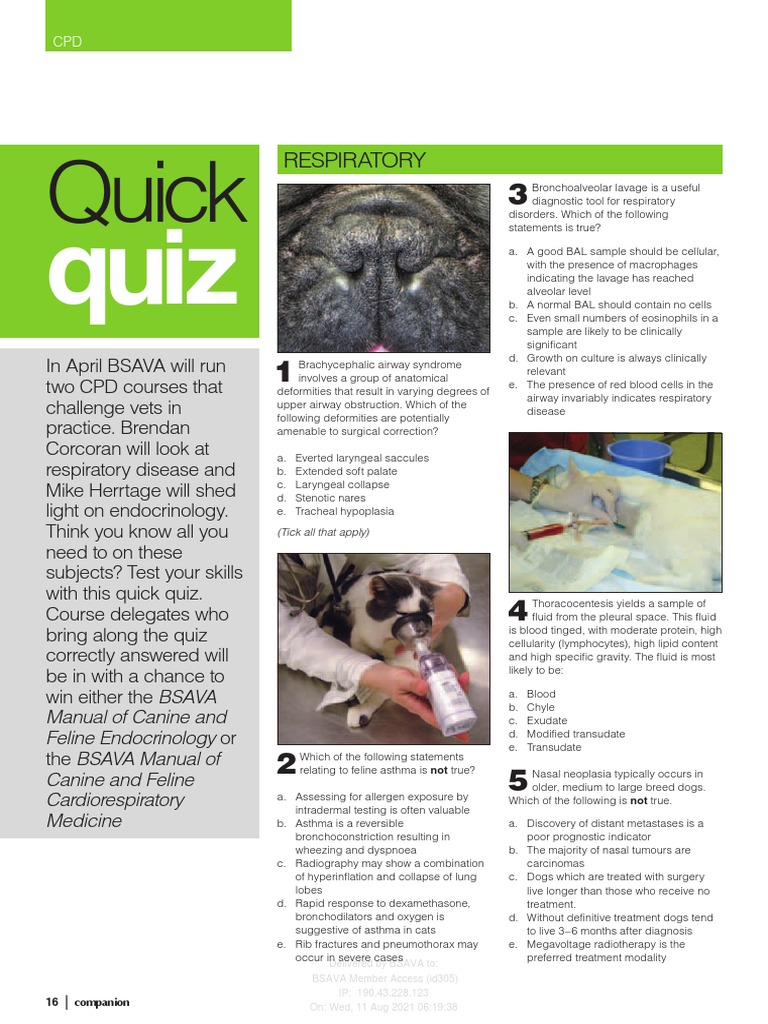 Quick Respiratory PDF Diabetes Hyperglycemia