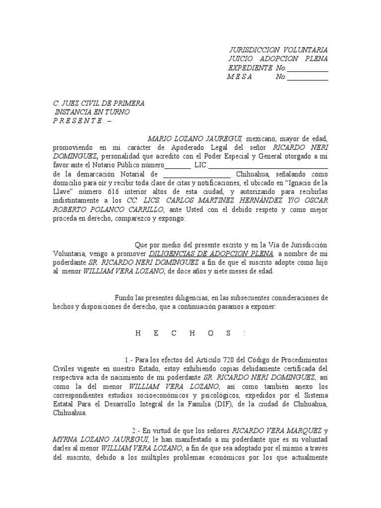 adopcion-plena-pdf-adopci-n-justicia