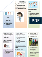 leaflet DISMINORE.docx