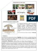 REINO FUNGI Exercicios