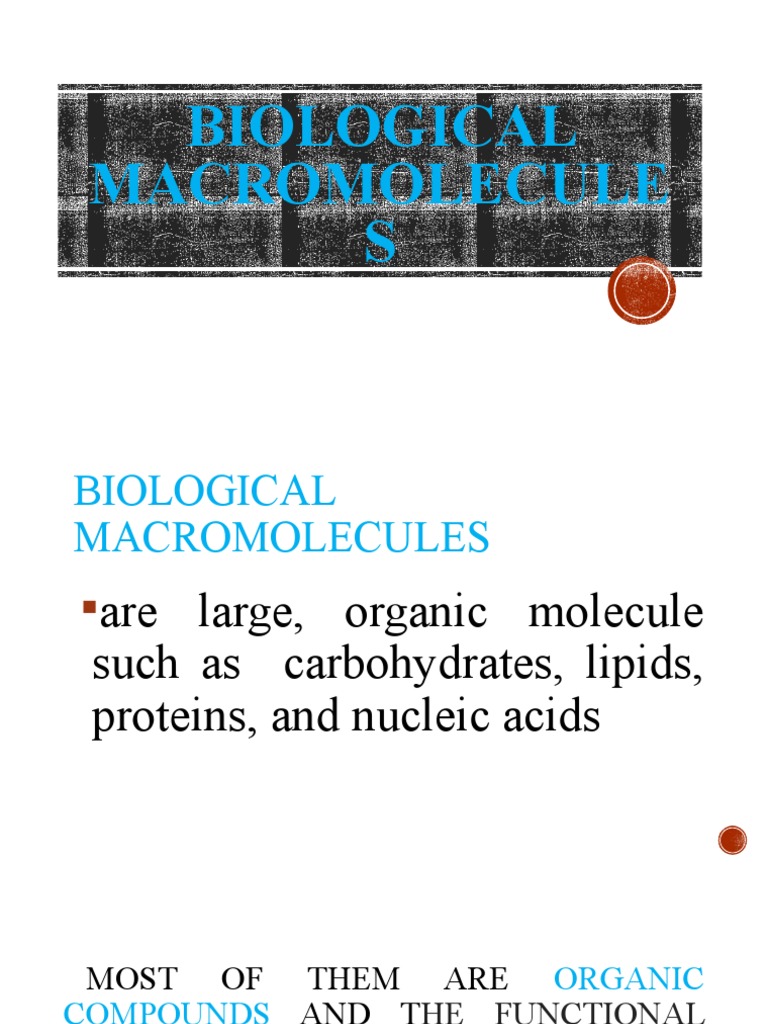 Biological Macromolecules PDF Biomolecules Lipid