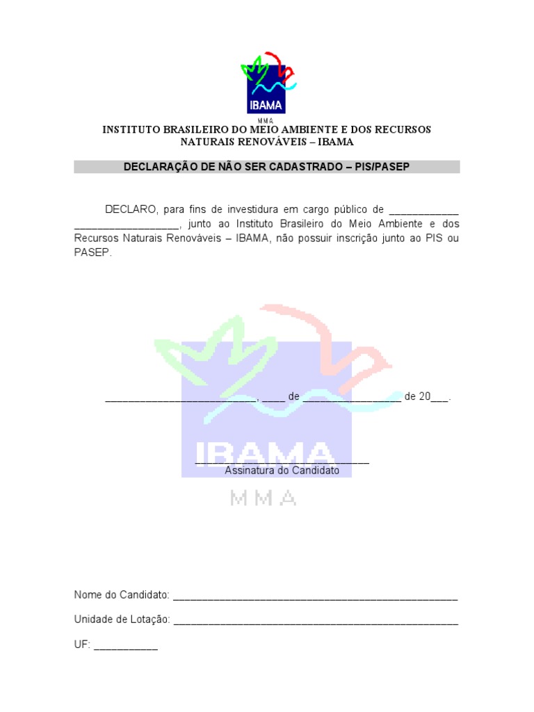 declaracao-de-nao-cadastrado-pis-pasep-pdf