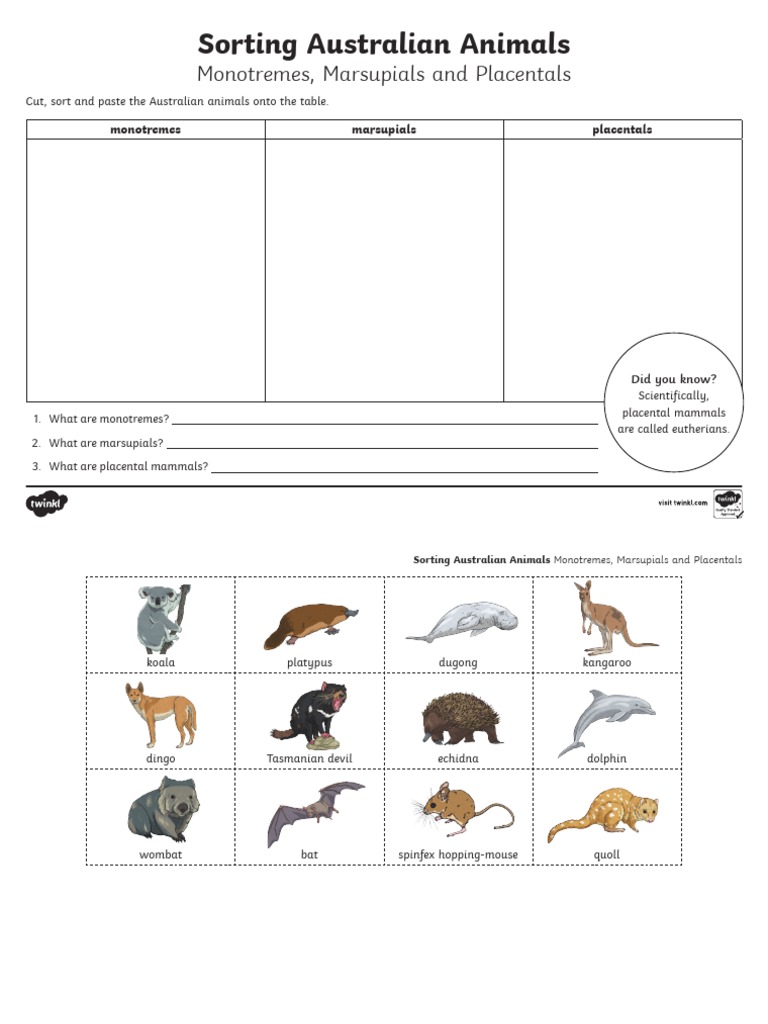 Au t2 S 1010 Monotremes Marsupials and Placentals Sorting Activity