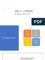 CLASE 3 - COMPONENTES CELULARES 2 - Compressed