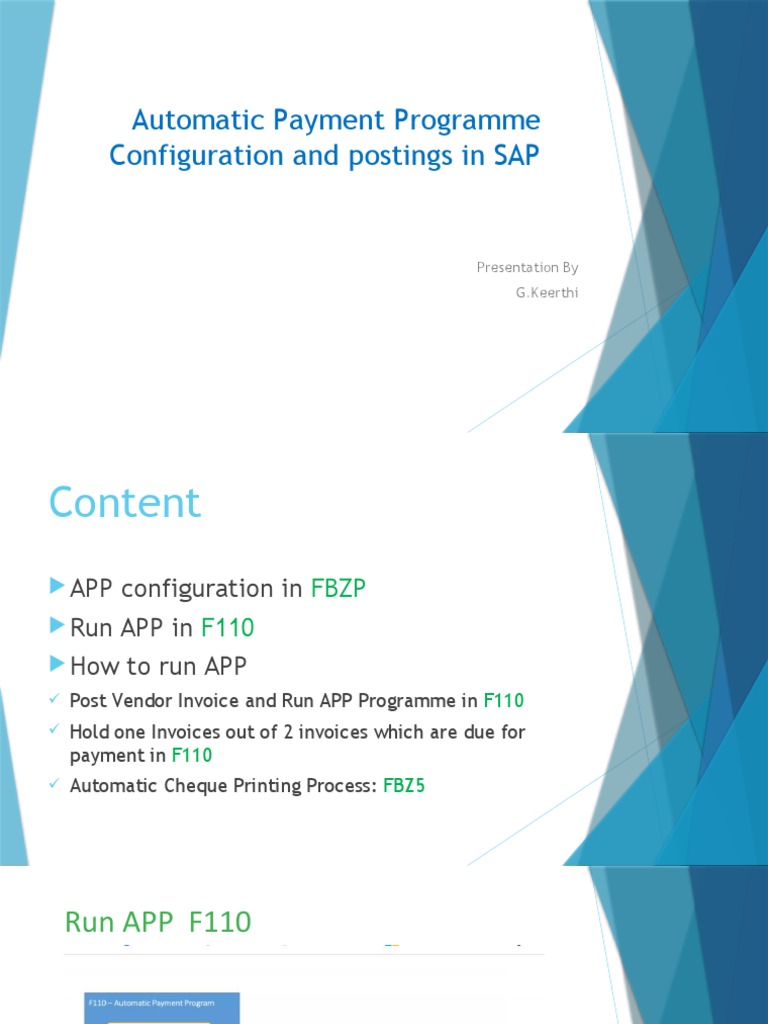 Sap Automatic Payment Program Guide Pdf Business Finance Money