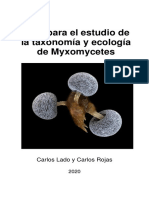 Guia Myxomycetes