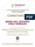 Maria Del Rosario Cruz Venegas Nom-030-Stps-2009 PDF