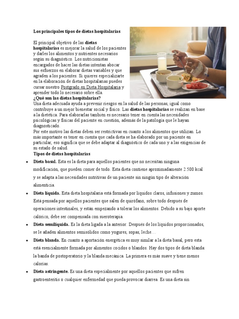 Los Principales Tipos De Dietas Hospitalarias Pdf Dieta Alimentos