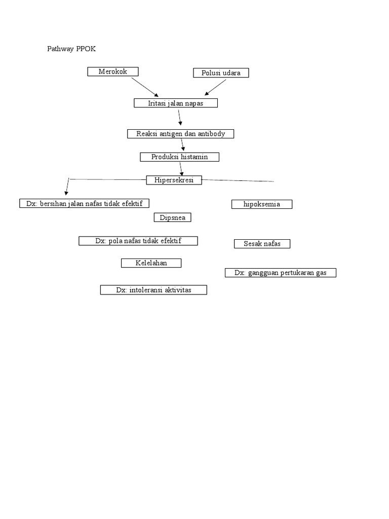 Jelaskan Apa Itu Software