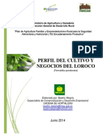 Perfil Del Cultivo y Negocios Del Loroco