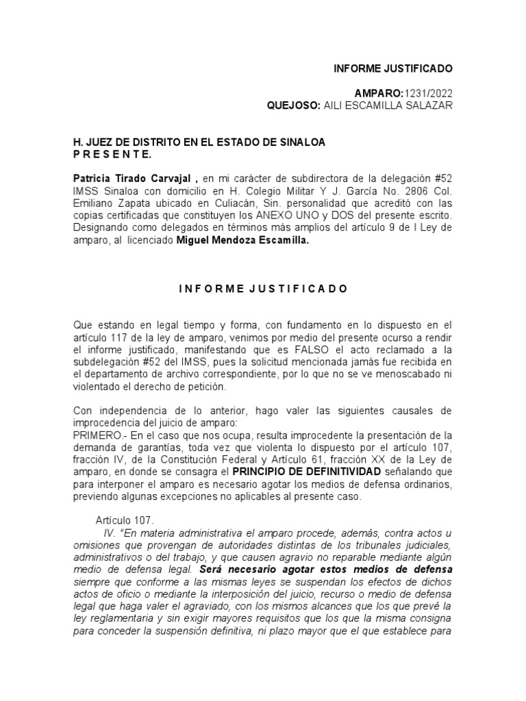 informe-justificado-pdf-gobierno-justicia