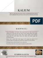 BB Kalium Fix