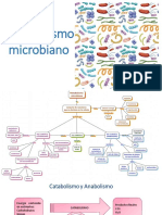 Metabolismo Microbiano 2 PDF