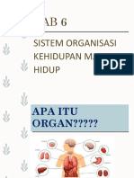Bab+6 Organ+&+sistem+organ