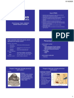 Diferensiasi Organ Reproduksi