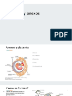 Placenta y Anexos.