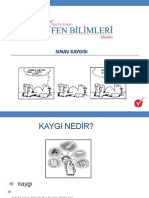 Sınav Kaygısı PDF