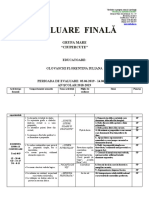 Evaluare Fin GR Mare 2018-2019