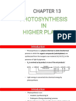 Photosynthesis Enthuse Smart Delivered Lecture A71b64b8 87aa 4ed5 PDF