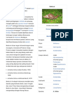 Bekicot - Wikipedia Bahasa Indonesia, Ensiklopedia Bebas PDF