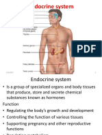 Endocrine System - Med