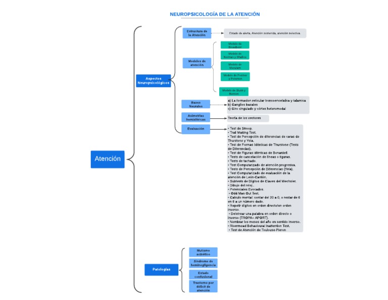 Atención | PDF | Cognición | Neurociencia