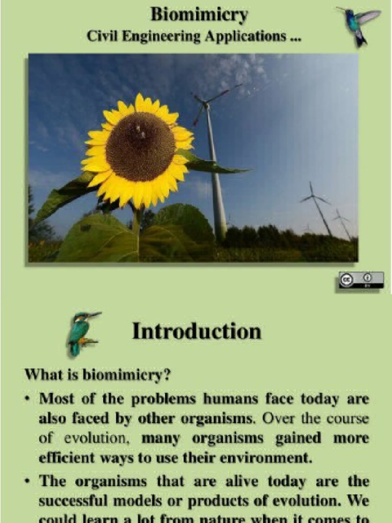 Biomimicry | PDF
