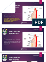 Anatomia Do Periodonto