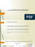 La Función de Nutrición Aparato Digestivo