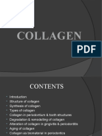 Collagen