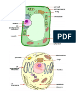 Cell