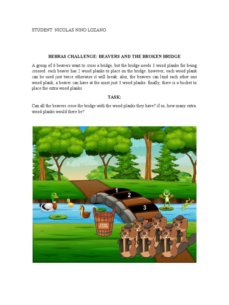 BEBRAS | PDF
