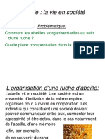 Diaporama - Abeille - La Vie en Société PDF