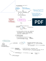 Acorno Se Secreta El ADN PDF