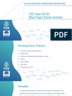 D1S3 - Blue Flag Criteria Revision