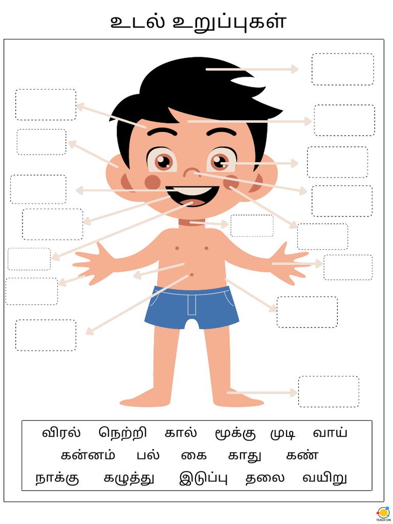 Parts of The Body Tamil Xafzkw PDF | PDF