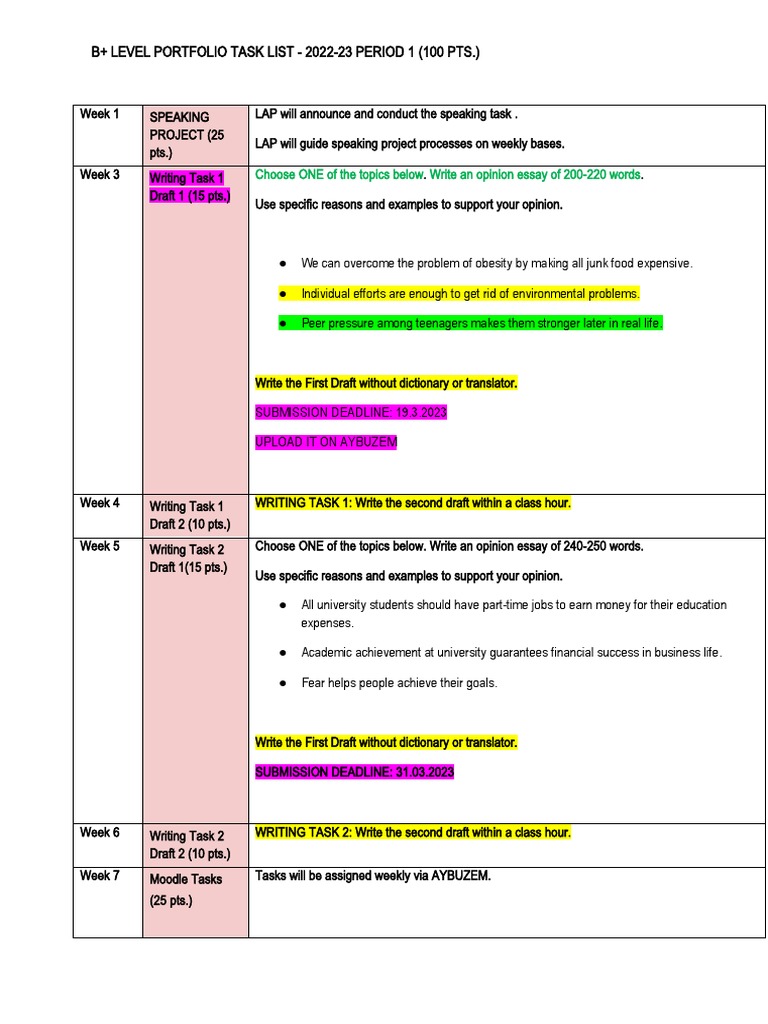 B+ Level Portfolio Task Overview | PDF