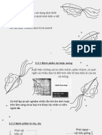 Parasite Diseases - Trichomoniasis by Slidesgo