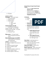 Rad Ana Midterm Upper Extremity