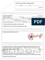 Clasa 8 Evaluare Formativă Sistemul Nervos Endocrin