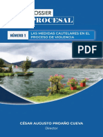 Dossier Sobre Las Medidas Procesales en El Procesode Violencia PDF