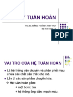 Bài giảng ppt Giai phau sinh ly tuan hoan - Dược CQ, VB2 PDF